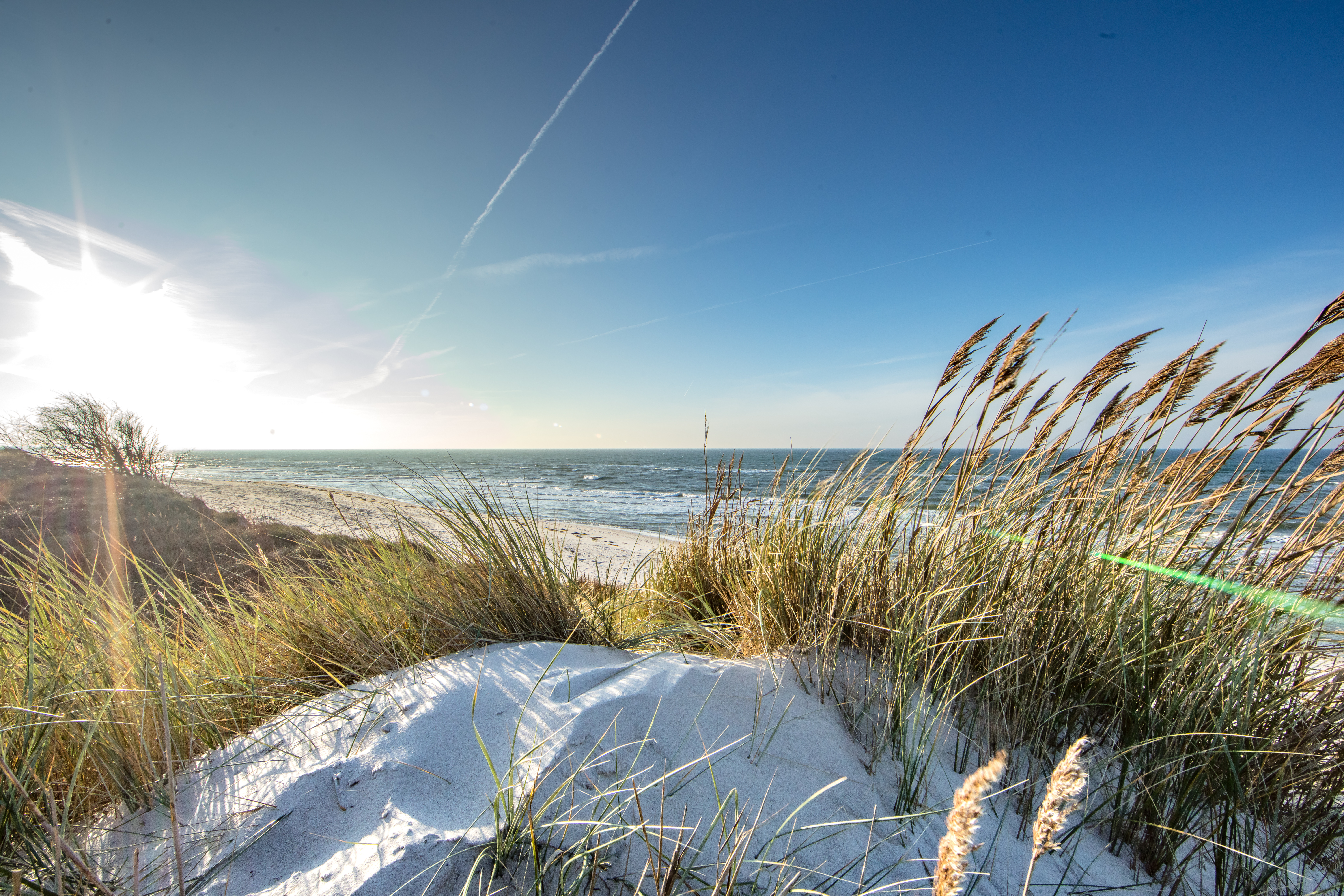 Klassenfahrt nach Sylt planen: Checkliste, Programm und Tipps