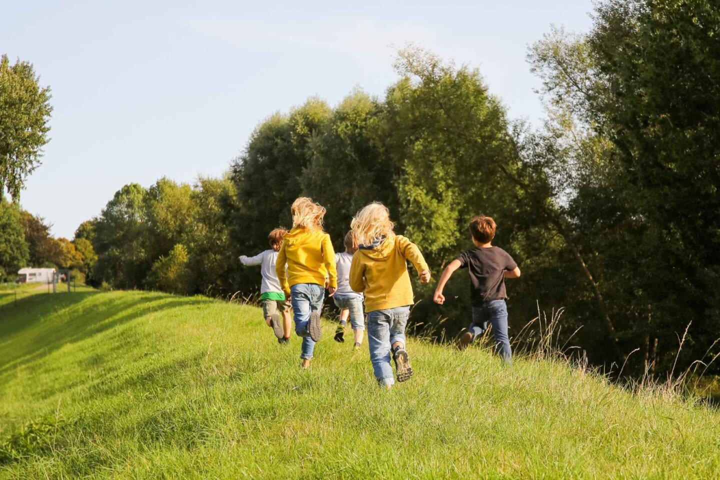 Gruppe von Kindern rennt über den grünen Deich an der Freiluftschule Bunthausspitze.