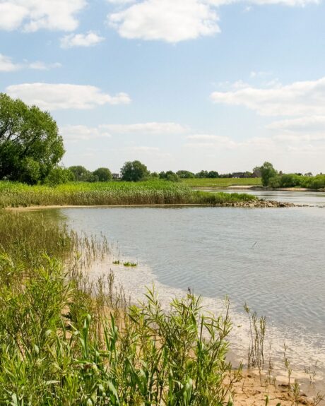 Elbstrand an der Freiluftschule Bunthausspitze mit grüner Umgebung drum herum.