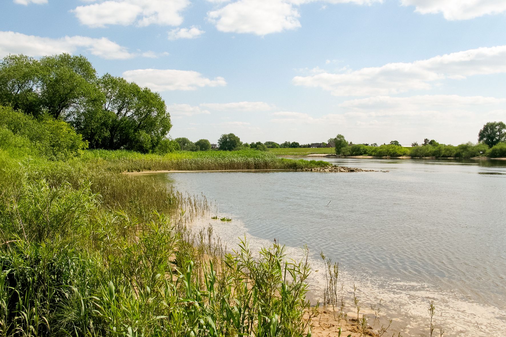 Elbstrand an der Freiluftschule Bunthausspitze mit grüner Umgebung drum herum.