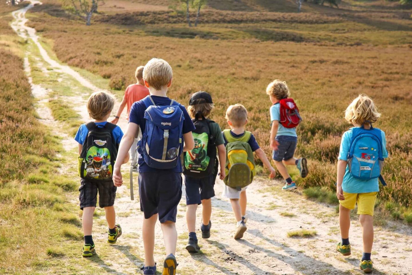 Gruppe von Kindern läuft einen Wanderweg in der Fischbeker Heide lang.