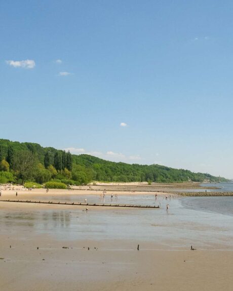 Elbstrand nahe der Freiluftschule Wittenbergen mit Blick auf das glitzernde Wasser und weichen Sand.