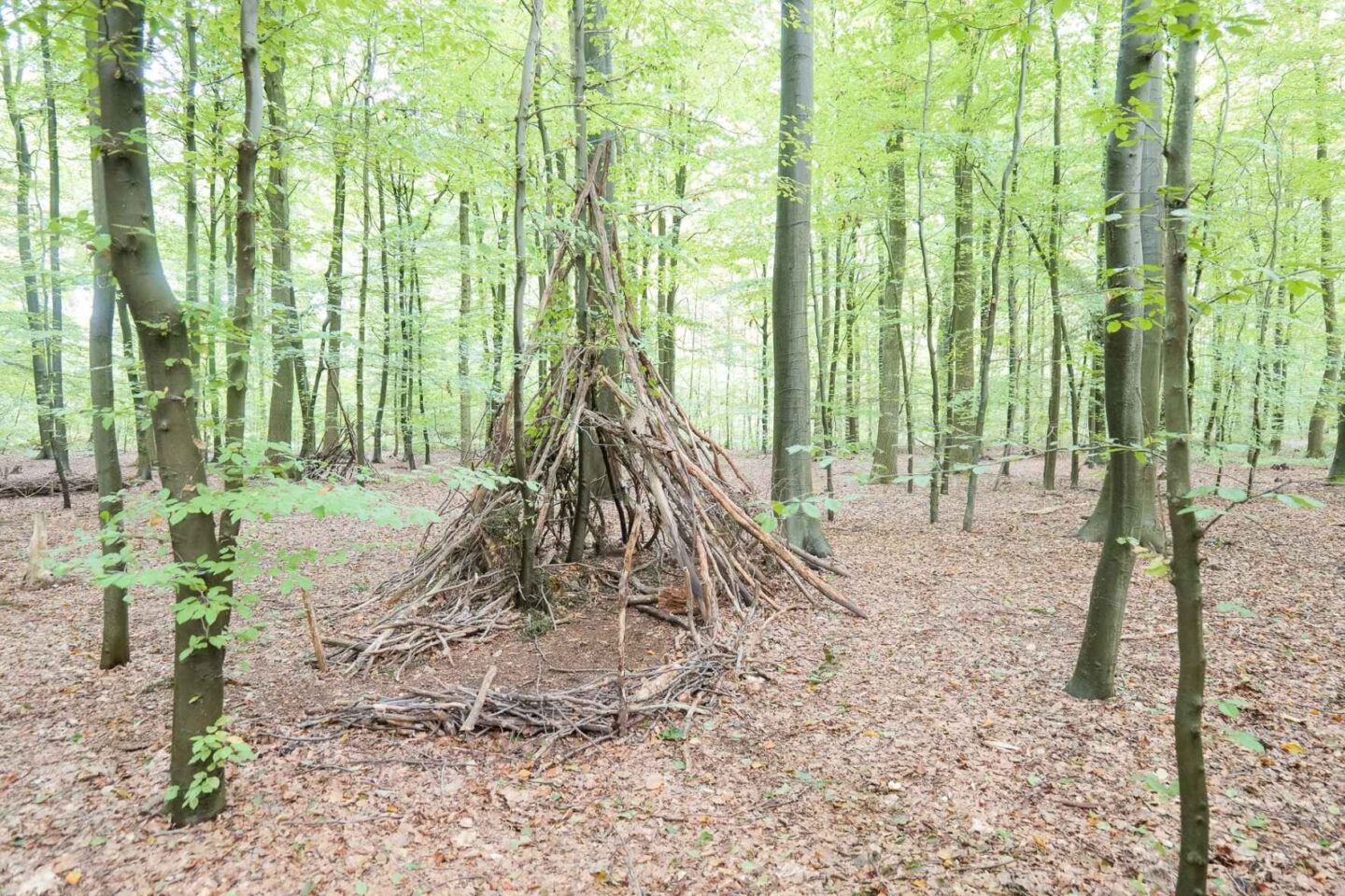 Große Zweighütte in einem grünen Wald, perfekt für Kinderabenteuer und Naturpädagogik in der Kita Buckhorn.